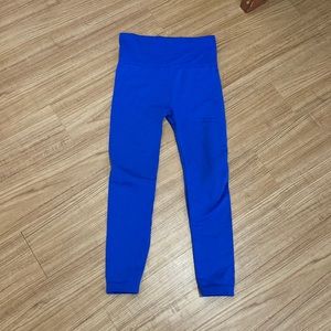 Blue Fleece Leggings